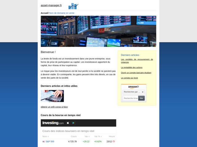Asset manager