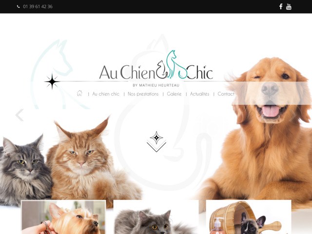 Salon de toilettage Au Chien Chic