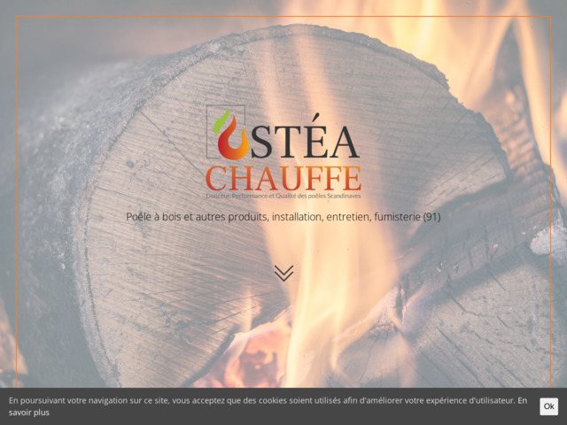 Poêle à bois et autres produits, installation, entretien, fumisterie (91)
