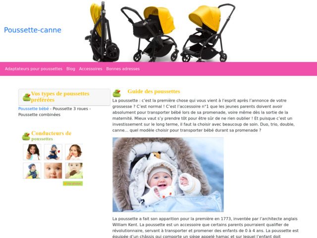 La poussette-canne