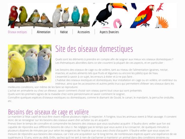 Presentation des oiseaux exotiques