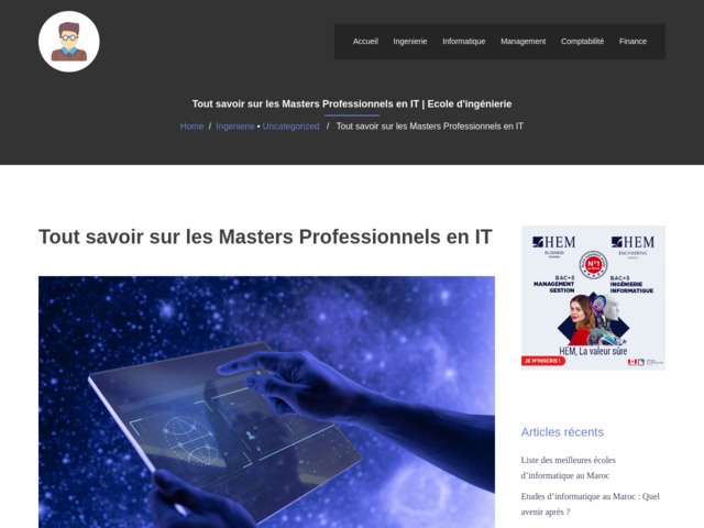 Tout savoir sur les masters professionnels en it