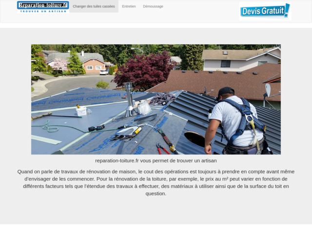 Entretien de la toiture