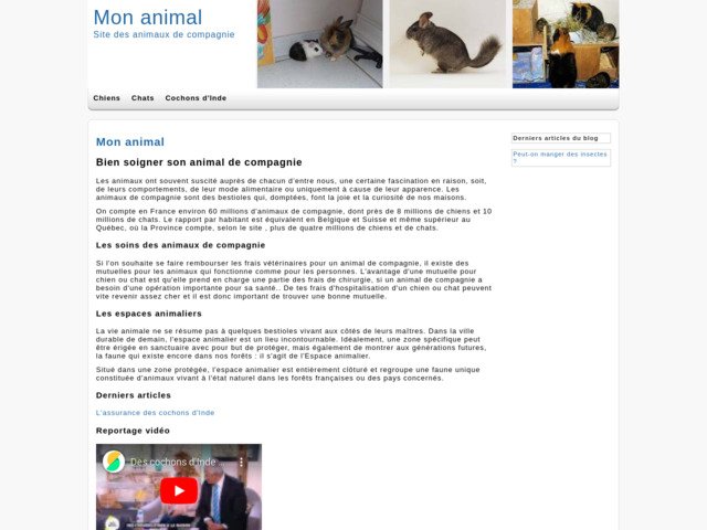 L'animal de compagnie