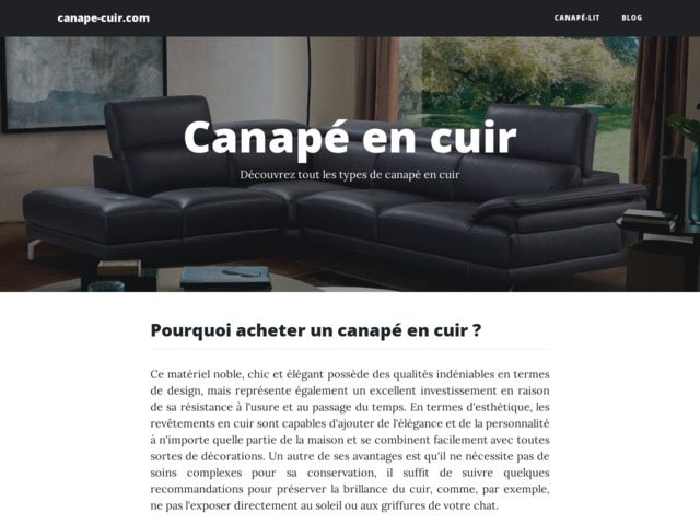 Guide du canapé en cuir