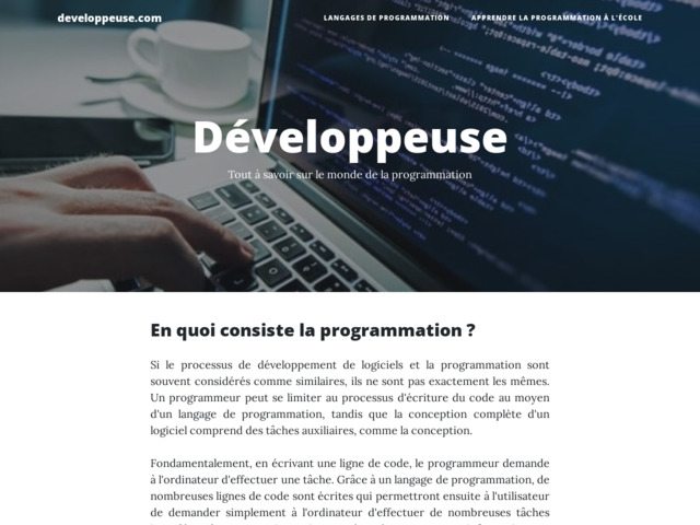 Développeur ou développeuse informatique