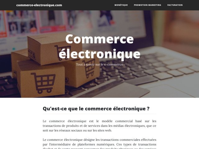 Guide du commerce electronique