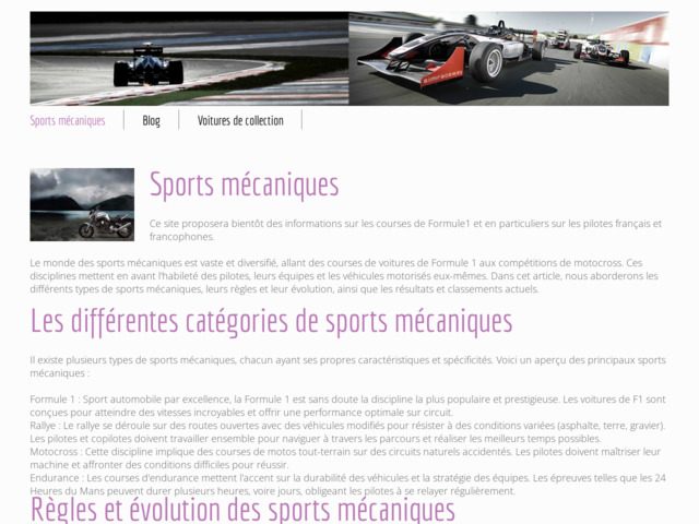 Le sport auto, formule 1, rallye