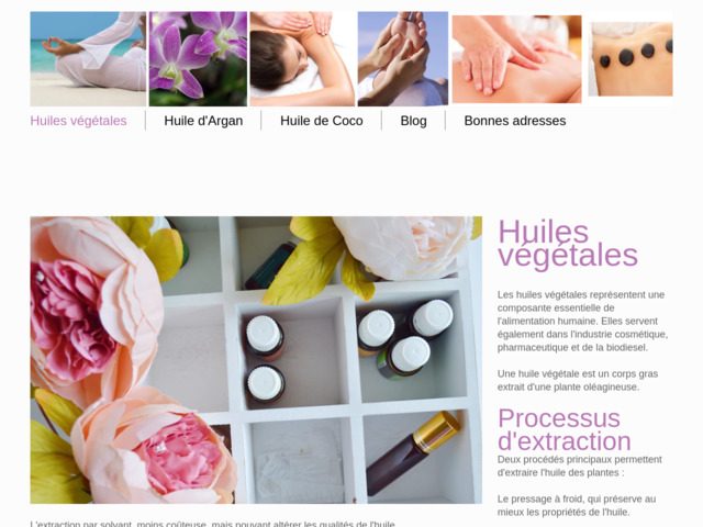 Connaitre les huiles vgtales