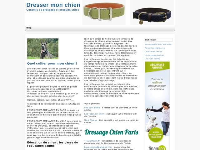Guide pour éduquer un chien