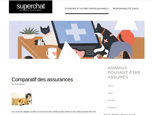 Site sur les chats