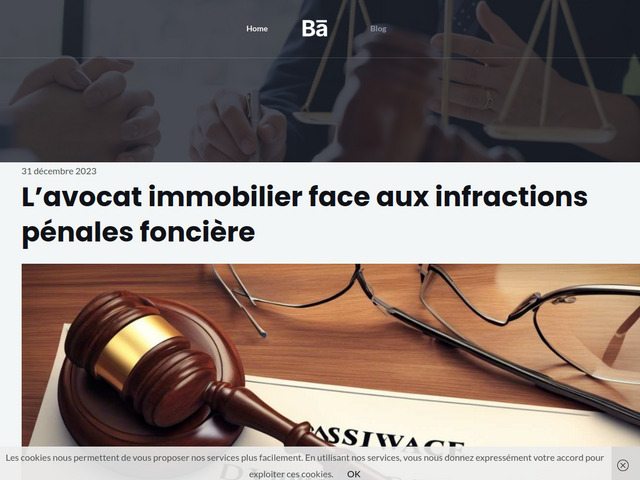 Avocat analyste