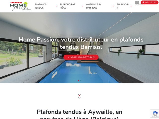Home passion: votre spcialiste en plafond tendu