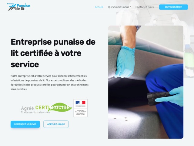 Entreprise punaise de lit - désinsectisation punaises de lit