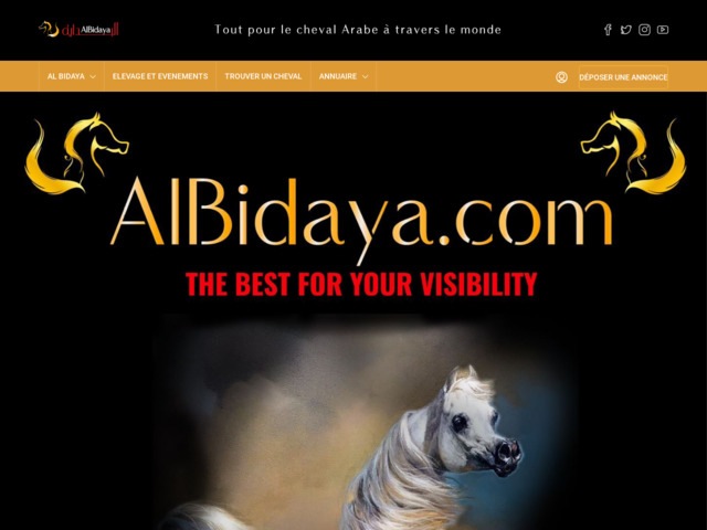 Albidaya.com, le meilleur pour votre visibilté