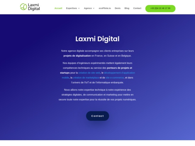 Laxmi Digital: agence digital