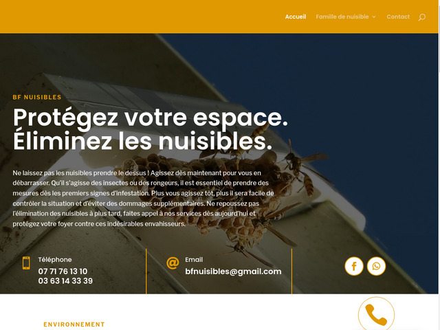 Service anti rongeurs et insectes - bf nuisibles