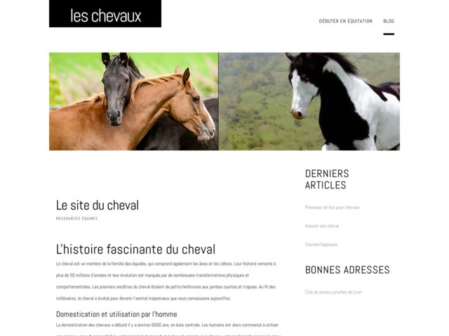 Les chevaux : sport et passion