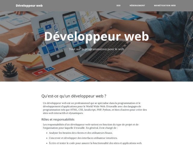 Développeur web