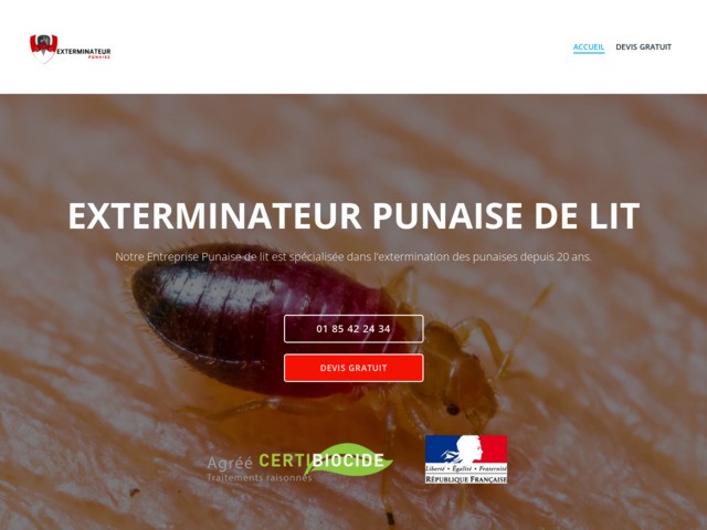 Exterminateur punaise de lit paris et idf