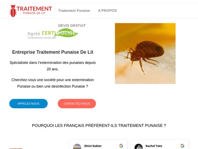 Entreprise traitement punaises de lit - traitement punaise