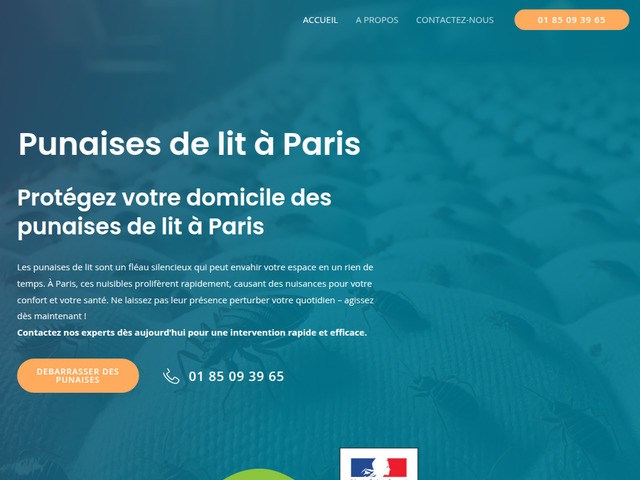 Punakill - Entreprise anti-punaise de lit  Paris