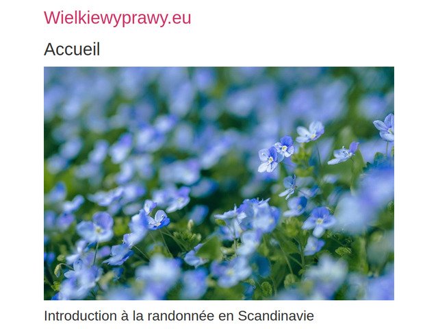 Wielkiewyprawy.eu