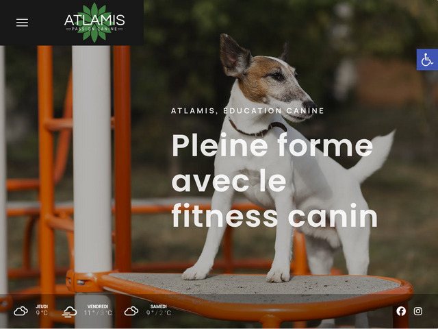 Ecole du chiens  petit prix