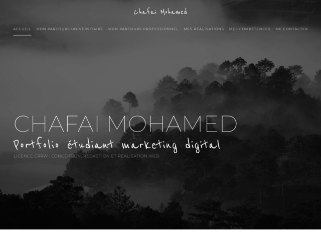Portfolio �tudiant webmarketing & seo - chafai mohamed | studiochafai.ovh