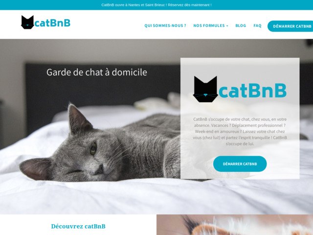 Garde de chat à domicile Rennes : CatBnB
