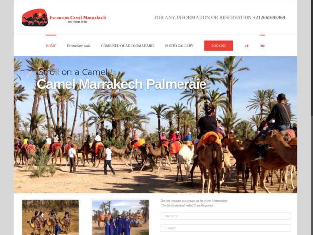 Dromadaire Marrakech