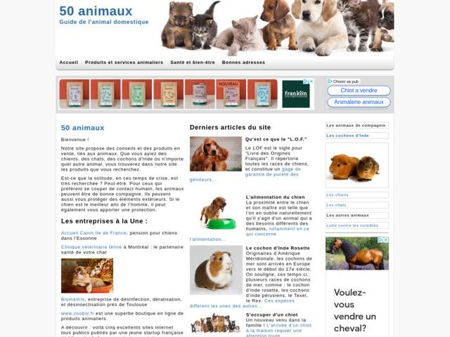 Tout sur les animaux de compagnie