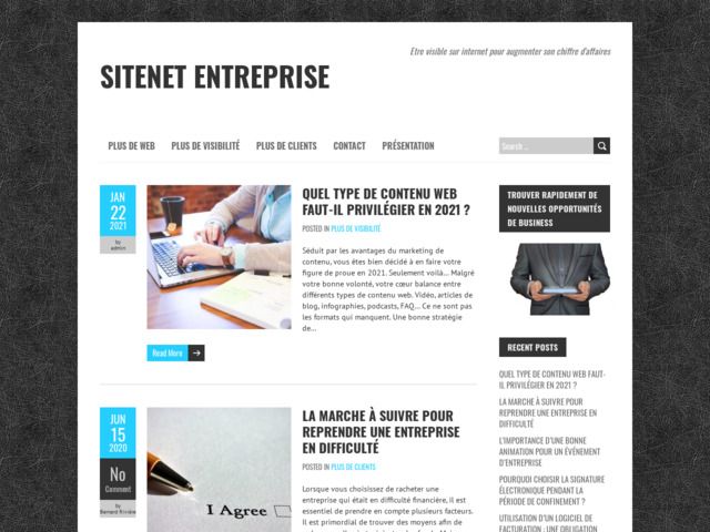 Sitenet : Création de sites Internet sur mesure et référencement manuel