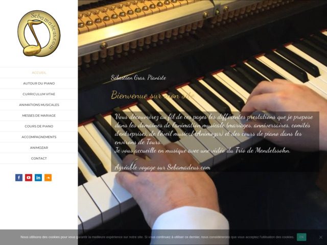 Cours de piano et animations musicales