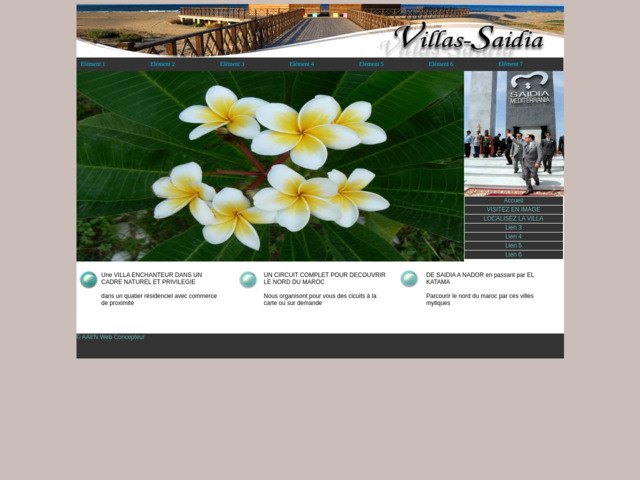 Villa Saidia