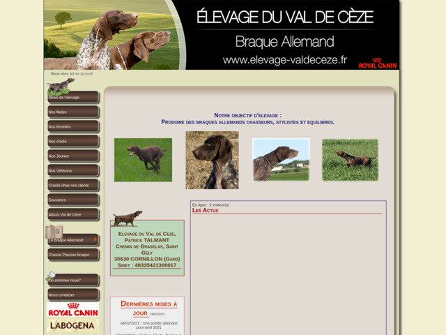 Elevage du Val de Cèze : Braques allemands-kurzhaar et labradors