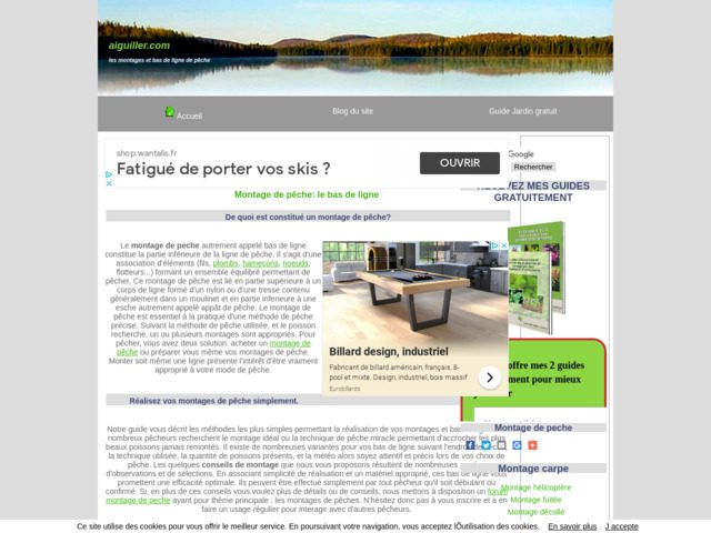 Aiguiller
