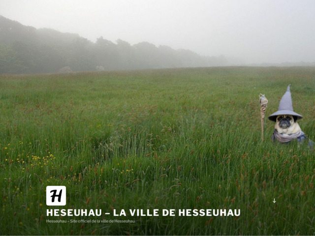 La ville de Hesseuhau