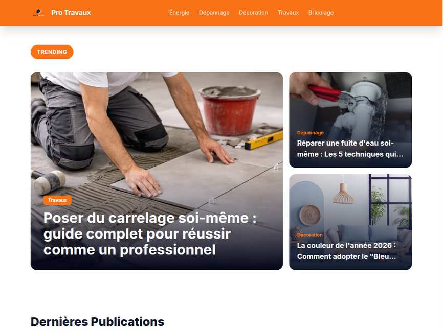 Protravaux : le guide expert de la r�novation et du b�timent